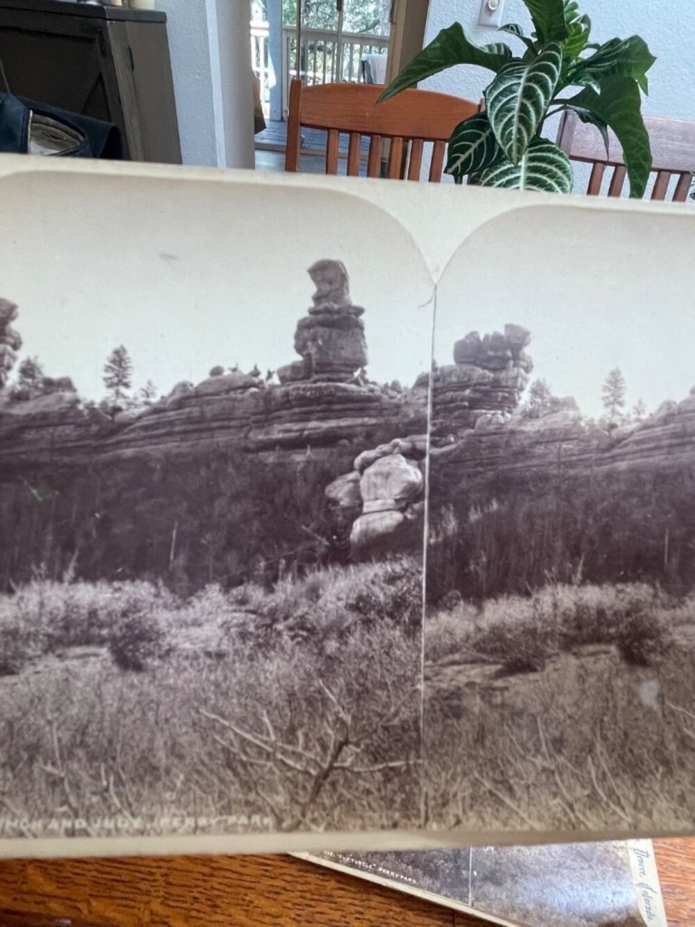 Antique Stereoview Cards Lot Of 5 Perry Park & Keystone View Co. Historic Scener